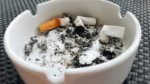 都民ファースト「子どものいる家は禁煙！」← 都が“ 私的空間 ”にまで介入するのはおかしいのでは？