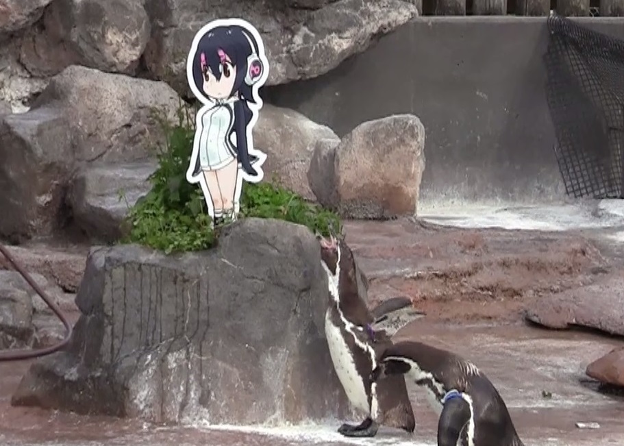 二次元に恋したペンギン グレープ君 けものフレンズ フルルちゃんのパネルに看取られて天国へ ニコニコニュース オリジナル