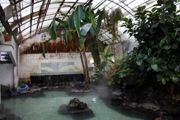 とある”混浴温泉”潜入レポ 湯船から顔を出す無数のスケベおじさん、通称「ワニ」の生態に迫る