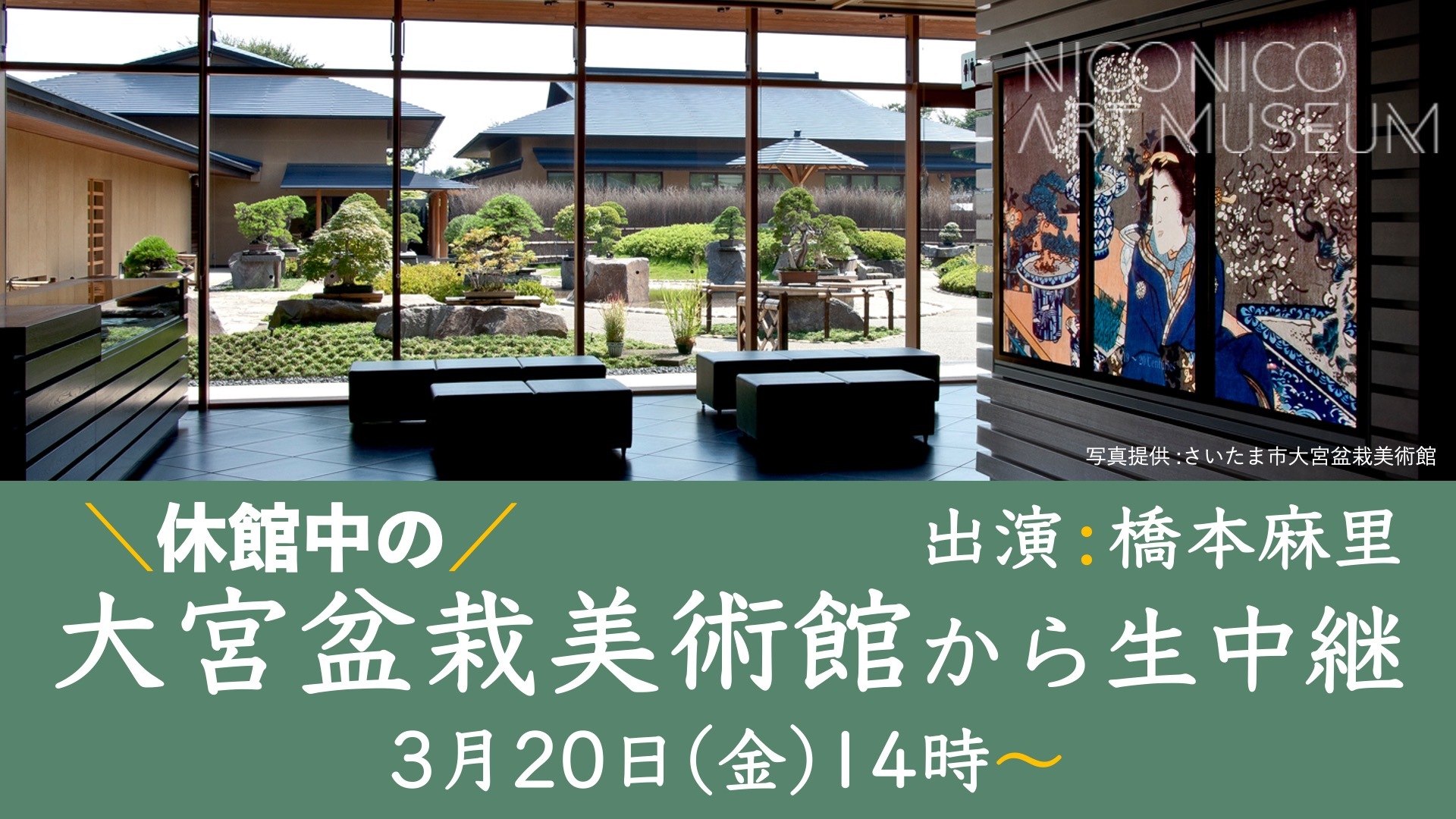 日本で唯一の盆栽専門公立美術館より 春の花もの盆栽展 を解説付き生中継でお届け 大宮盆栽美術館 ニコニコ美術館