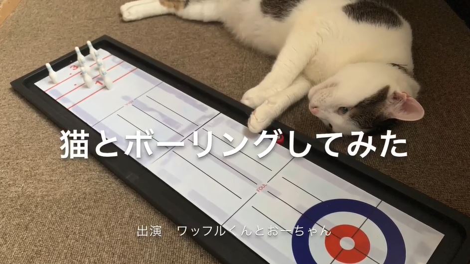 ボウリング ねこちゃん - チャーム