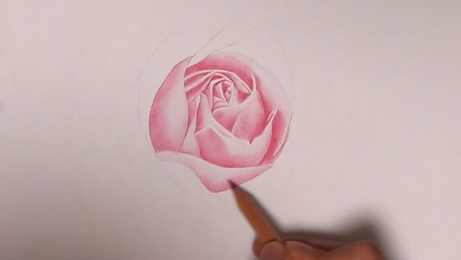 バラの写真 を 色鉛筆で 模写してみた 透明感やピントまで表現する描き込みに えっ うますぎる と驚きの声 ニコニコニュース オリジナル