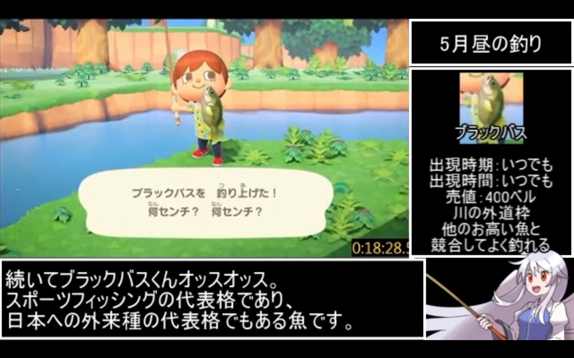 あつまれ どうぶつの森 全80種の魚を8時間以上かけてコンプリート サカナ図鑑を完成させるためにひたすら釣竿を振り続けたrtaをご紹介