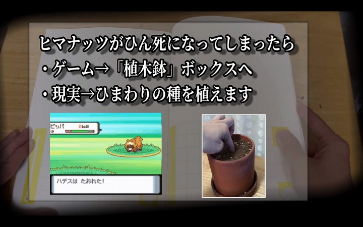 ポケモンhg ヒマナッツが ひんし になるたびヒマワリ栽培 2年目の挑戦 となる特殊すぎる縛りプレイの見どころをご紹介 ニコニコニュース オリジナル