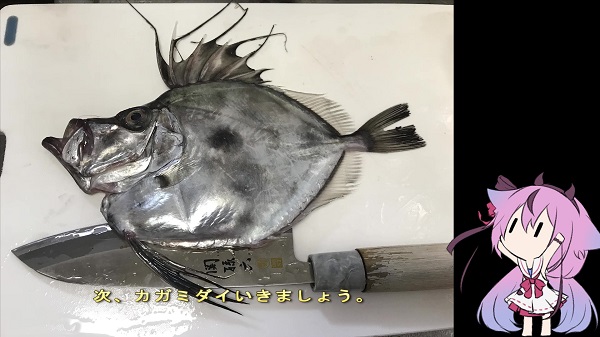 “深海魚”ってどんな味？ アオメエソ、ニギス、ワキヤハタ…戸田漁港からお取り寄せして調理してみた！