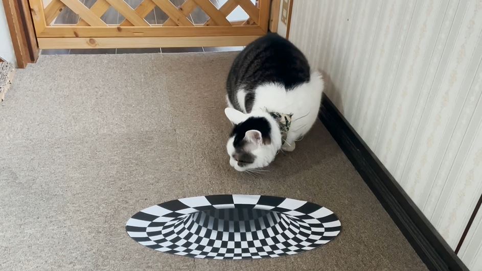 Cat10 | ニコニコニュース オリジナル