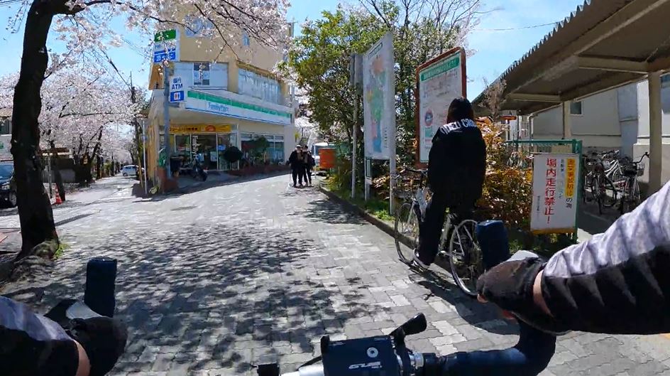 京都の 桜の径 を自転車で走ってきた 閑静な住宅街をどこまでも続く桜並木は 春満開 の美しさ ニコニコニュース オリジナル