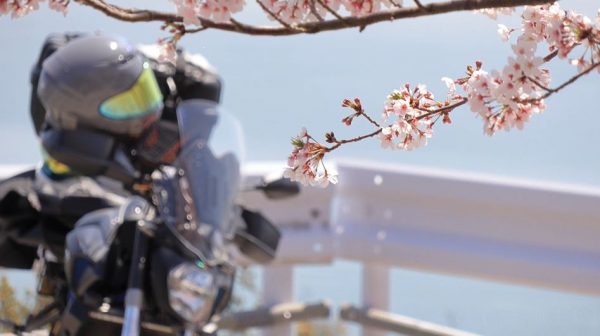 瀬戸内海の「小豆島」へ日帰りバイク旅！ 見頃を迎えた桜の咲く島で“鯉のぼり”を見てきた