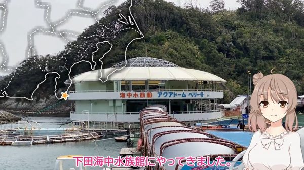 伊豆半島の海に浮かぶ船の水族館……だと？ 天然の入り江でイルカが泳ぐ「下田海中水族館」へ行ってきた！
