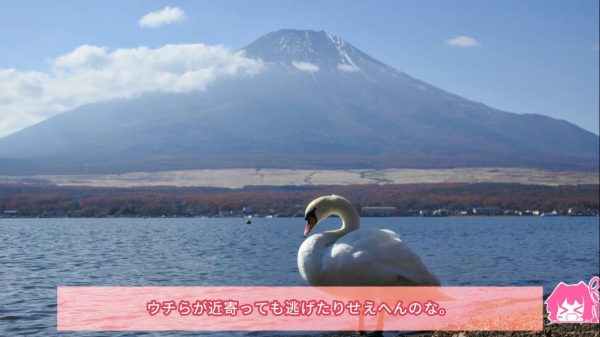 山梨県の“バイク神社”と呼ばれる、差出磯大獄山神社へツーリング！ 途中で富士山と山中湖の絶景も見てきたよ