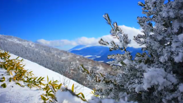 初心者でもチャレンジしやすい真冬の「四阿山（あずまやさん）」にアタック！ 一面に広がる雪の静寂と美しい樹氷に「幻想的だなあ」