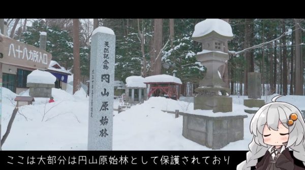 札幌「円山公園」で北海道の自然を感じてきた！ 1時間で登れる円山では雪の妖精「シマエナガ」にも遭遇