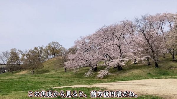 “大阪へ古墳に咲く桜を見に行ってきた！