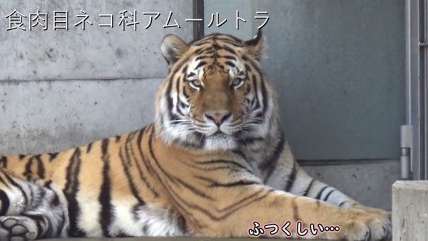 “大阪の天王寺動物園へ行ってきた！