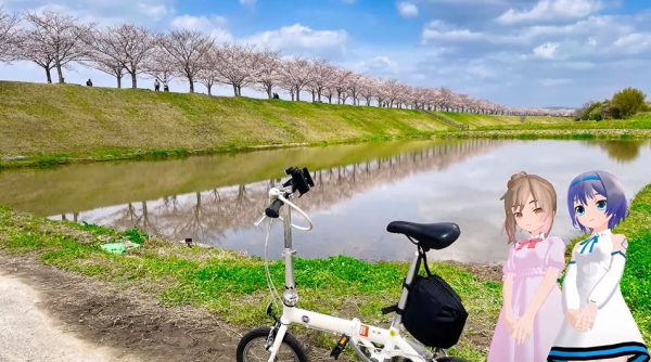 水面に映り込む「逆さ桜」が美しい！ 西日本最大級の長さを誇る兵庫県「おの桜づつみ回廊」へ行ってきた