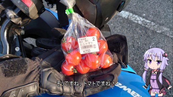 千葉県のツーリングスポット「道の駅ながら」で名産のトマトをゲットしたら長柄横穴群と長生き展望台を探検して遊ぼう！