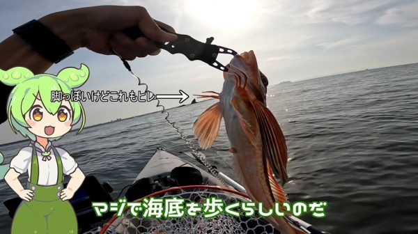 神奈川県茅ケ崎市で1番好きな魚を釣ってきた！ クーラーボックスに入らないほどの大物も釣り上げ充実の1日に