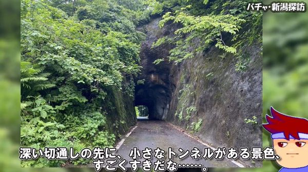 新潟県で「洞窟みたいなトンネル」を発見！ 狭あい道路の先の大棚田や深い切通しなど“景色の変化”が楽しい