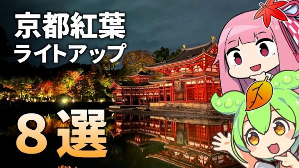 地元民セレクトの「京都の紅葉ライトアップ8選」を紹介！ いずれも美しい“夜の京都”の楽しみ方を丁寧に解説してみた