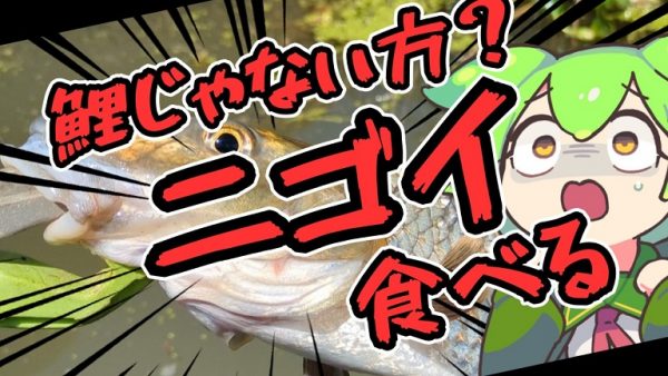 鯉と似ている「ニゴイ」を食べてみた！ 外れが少なく美味しいという魚を「照り焼きバーガー」にしていただきます