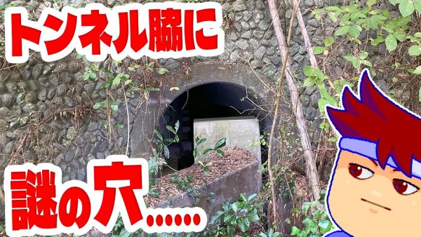 旧道のトンネル横に“謎の穴”を発見！ 思い切って突入したことで見えた光景に「いい冒険だった」の声