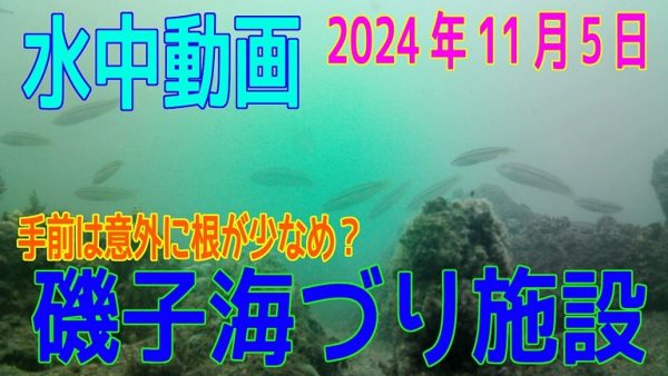 横浜市の「磯子海づり施設」で水中映像を撮ってきた！ 根掛かりが怖いエリアでの“意外な海の中の景色”をご紹介