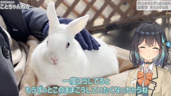 石川県加賀市にある「月うさぎの里」でモフモフを堪能！ うさぎたちをたっぷり撫でたあとは、昭和レトロな中華食堂でボリューム満点の看板ラーメンを味わう