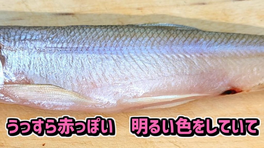 日本のシシャモは9割が偽物!? 「本物のシシャモ」と「代用シシャモ」はどう違うのか、味や価格を比較してみた | ニコニコニュース オリジナル