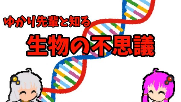 遺伝子の「水平伝播」はどう起きる？ 別種の生き物が同じ遺伝子持つ理由や、薬剤耐性を持つ細菌が生まれる仕組みなどを解説してみた