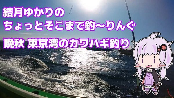冬の入り口の東京湾で肝パンパンのカワハギを釣って来た！ 荒れて難しい海は思いのほか活性が高く“つ抜け”を達成