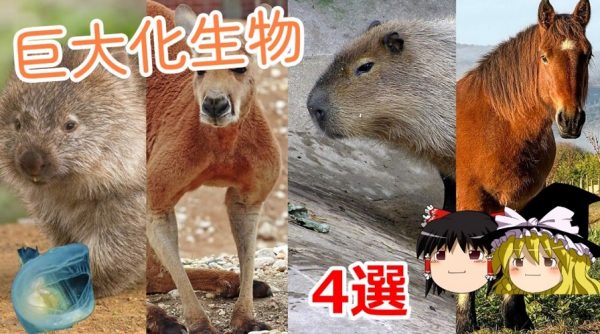 かつて巨大だった4種の哺乳類を紹介！ 軽自動車サイズのウォンバットや重すぎてジャンプできないカンガルーの姿に「うちの車よりでかい」「強そう」の声