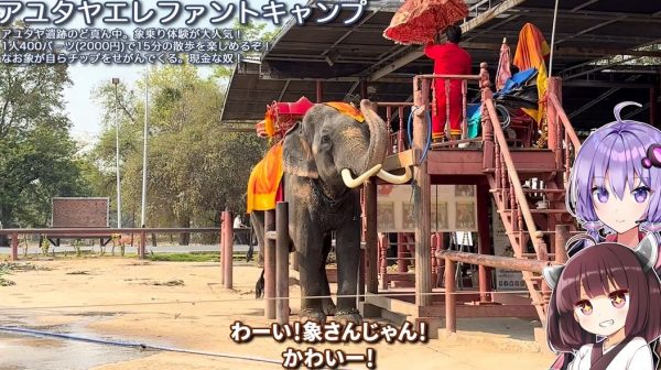 タイ旅行でゾウに乗って「アユタヤ遺跡」を見学！ 車を見下ろす視点で公道を行くのは新鮮な体験だった