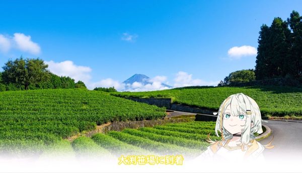 富士山が見えた朝にふらっと静岡小旅行！ 絶景の茶畑、写真映えの白糸の滝、奇石博物館の不思議な石と各所を満喫