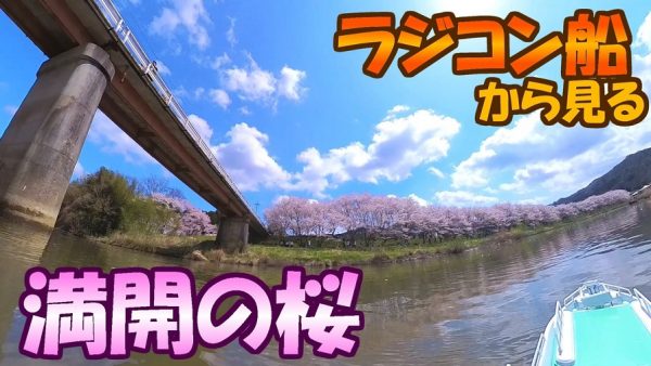 自作のラジコン船に360度カメラを搭載してお花見クルージング！ 水面に浮かぶ花びらや橋を見上げる“船目線”の桜が美しい