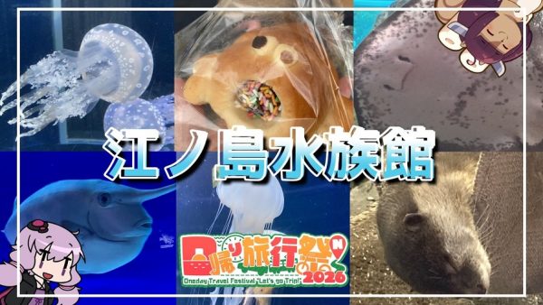 新江ノ島水族館に行ってきた！ 世界初の展示や幻想的なクラゲファンタジーホールにイルカショーなど見どころ満載