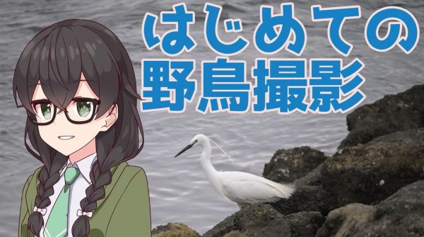 東京の探鳥スポット「東京港野鳥公園」へ行ってきた！ “1.2kg”のレンタル望遠レンズで野鳥撮影に挑戦