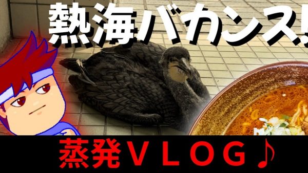 南国感溢れる“熱海”を楽しんだ旅路の終わりにハプニング！ 駿河湾を望むトイレで“野鳥のヒナ”に威嚇されるまさかの展開へ「⁉」「かわいい」の反響