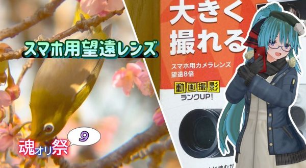 「スマホ用望遠レンズ」で野鳥撮影に挑戦！ iPhone 15 Proで遠くの鳥をどこまで撮れる？
