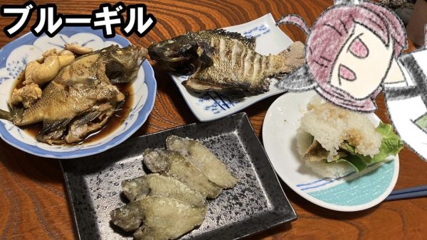 特定外来生物・ブルーギルを釣って調理した結果……豪華すぎる「ブルーギル尽くしの夕餉」が完成！