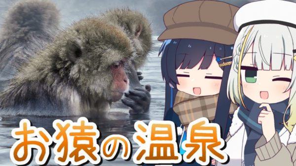 「温泉に入るサル」を見るため長野県へ行ってきた！ 地獄谷野猿公苑で出会った冬毛の“もふもふサル”が可愛い